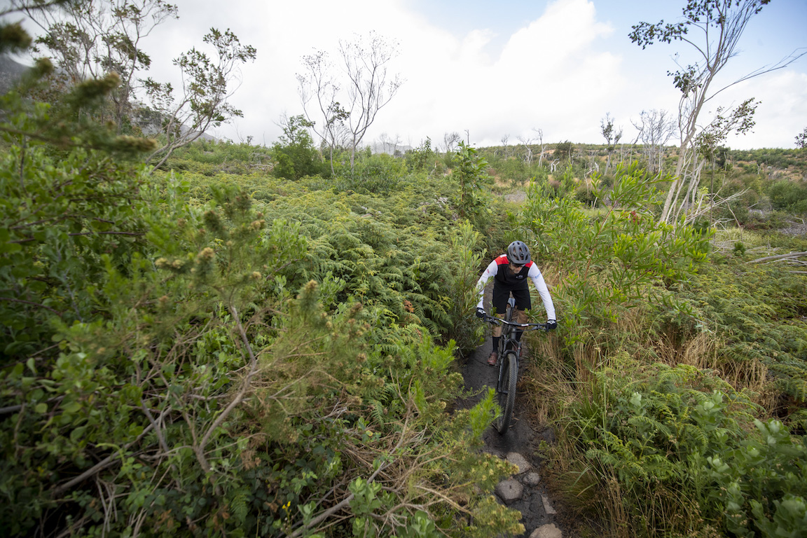Review: Dusty Gear Trail Shorts