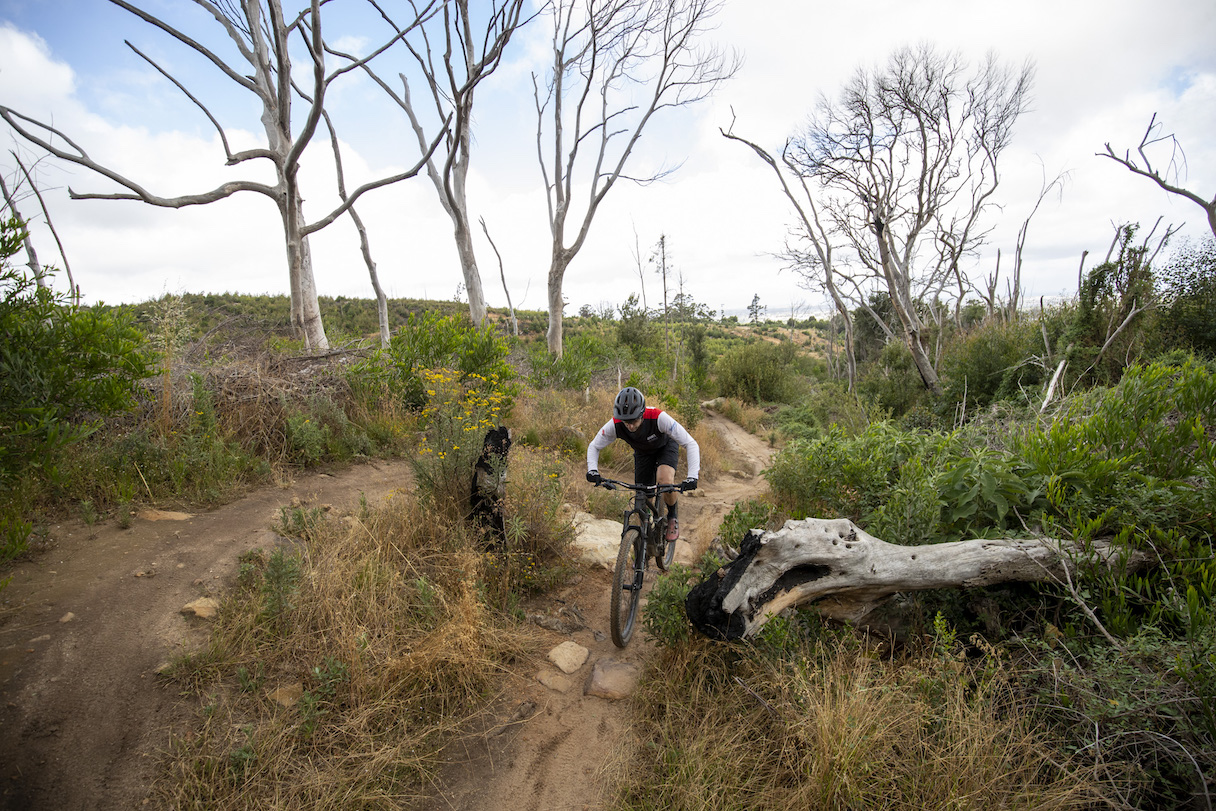 20 july 2026, cape town, SOUTH AFRICA | a beginners guide to understanding the language and terms of mountain biking as published on bike network by myles kelsey