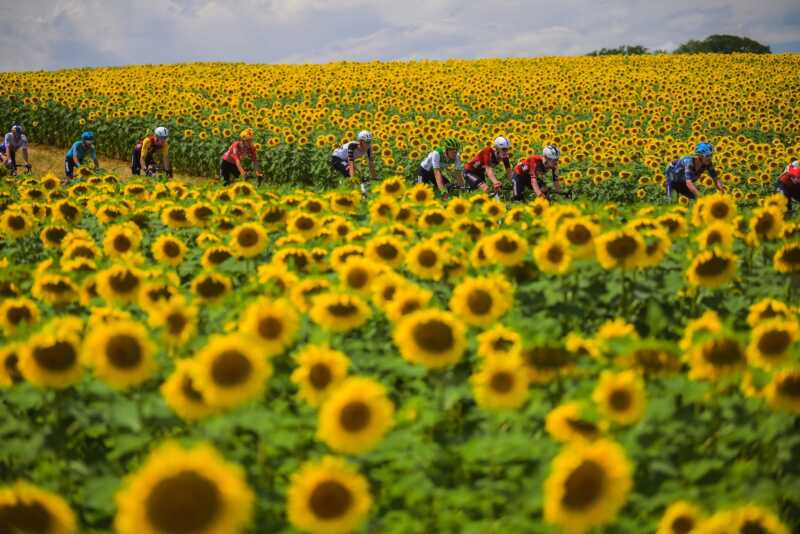 20 july 2026, cape town; SOUTH AFRICA | photo epic of week two of the 2026 tour de france as published on bike network
